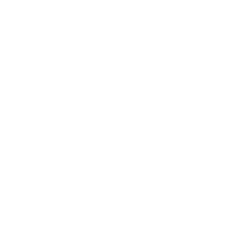 ticket icon